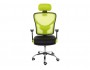 Lody 1 светло-зеленое / черное Компьютерное кресло