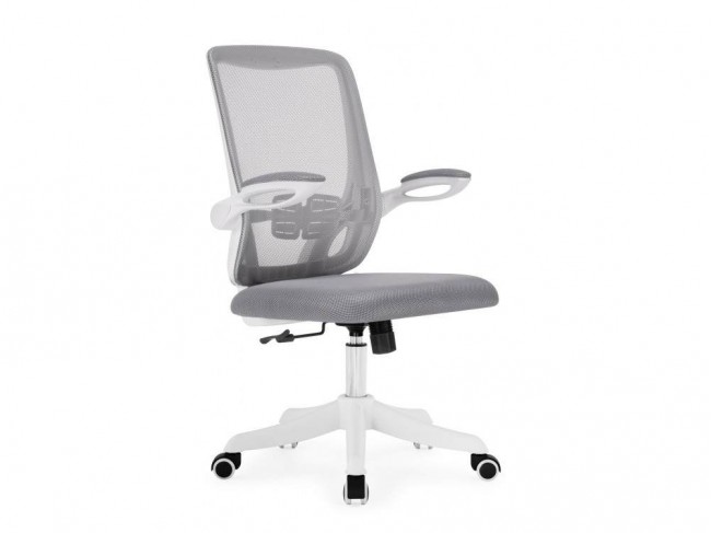 Salem gray / white Компьютерное кресло